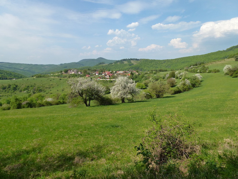 Omgeving